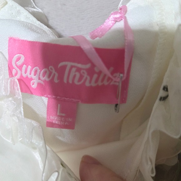 Sugar Thrillz Floral Sheer Mini Dress Large NWOT Romantic‎ Cottagecore Coquette - Picture 6 of 10